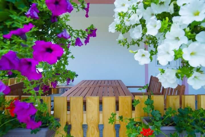 Guesthouse Ella スルニュ エクステリア 写真
